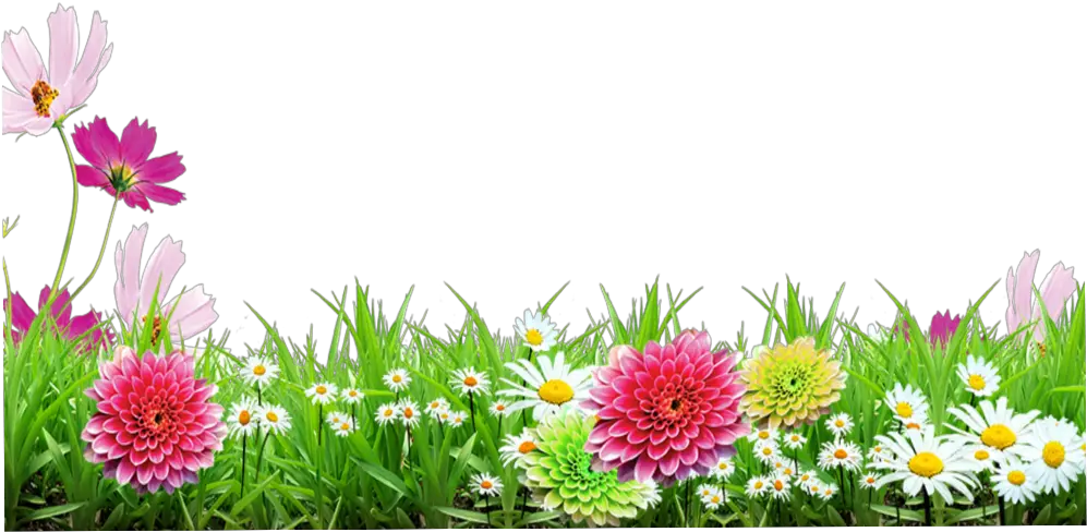 mq grass green flowers flower garden nature Background Flower Images Png