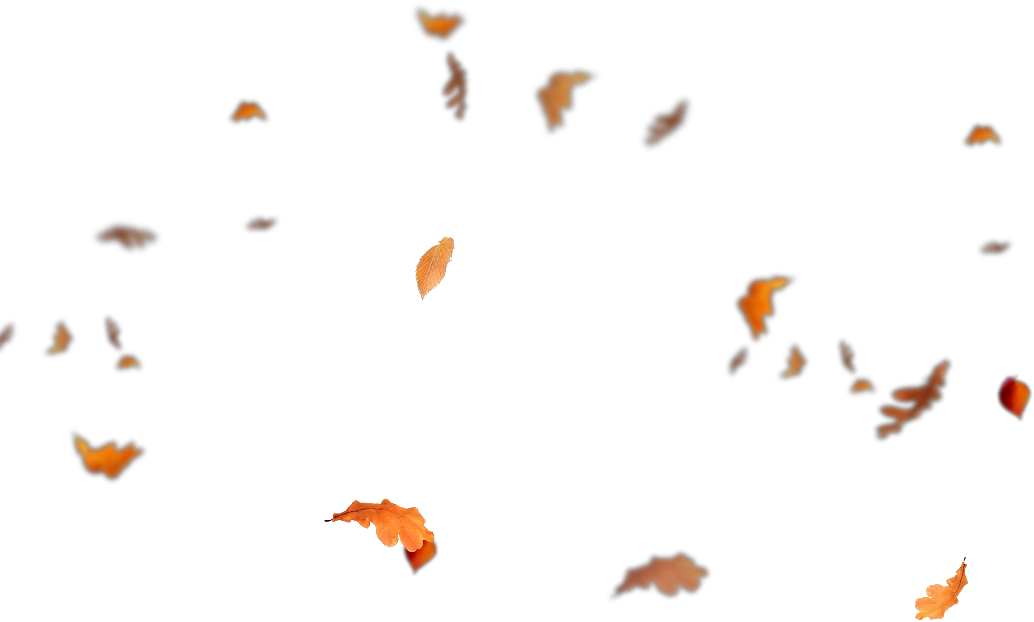 Falling Leaves Png Autumn Leaves Flying Png