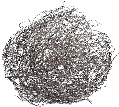 Tumbleweed Png