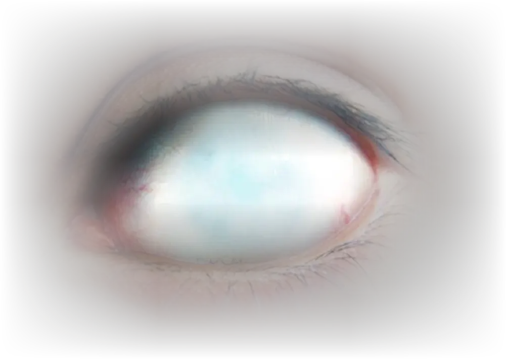 Transparent Horror Png Transparent Creepy Eye Png