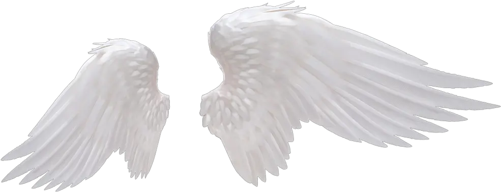 Transparent Transparent Wings Png Realistic Angel Wings Png