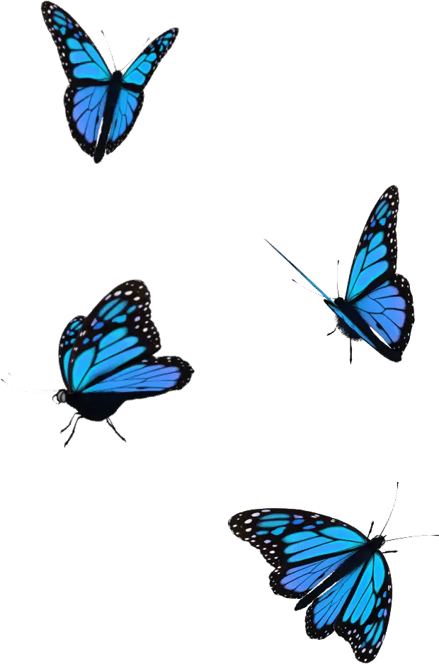 Transparent Butterfly Flying Gif