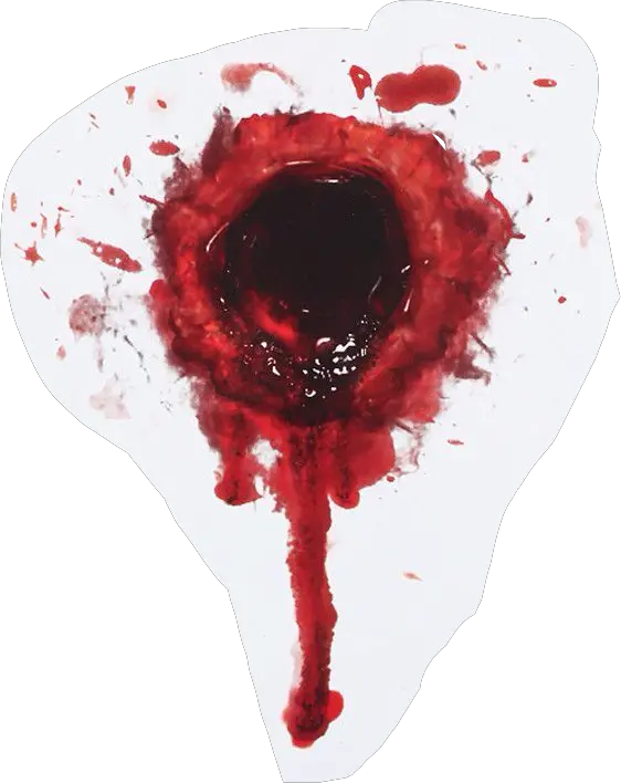 Transparent Bullet Hole Png Bloody Bullet Hole Png