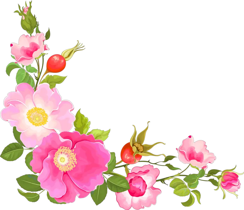 Flower Corner Design Png