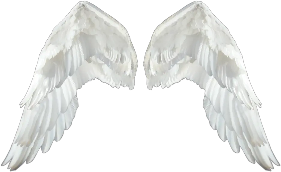 Realistic Angel Wings Transparent Png White Wings Png