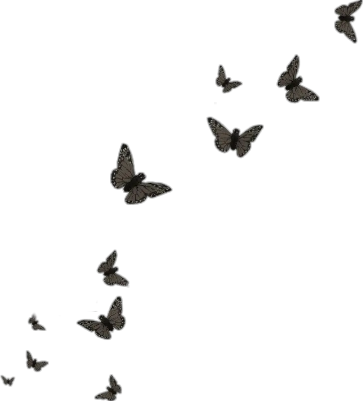 butterfly black butterflies Flying Butterflies Transparent Background