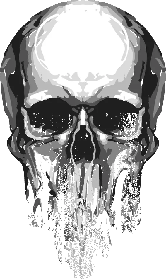 Skull Euclidean Vector Png Transparent Skull Png