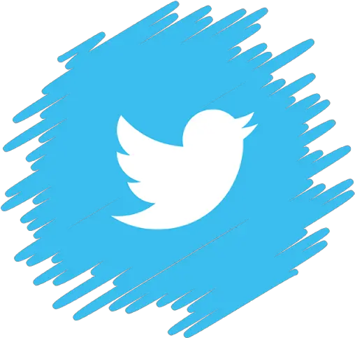 Twitter Social Media Icon