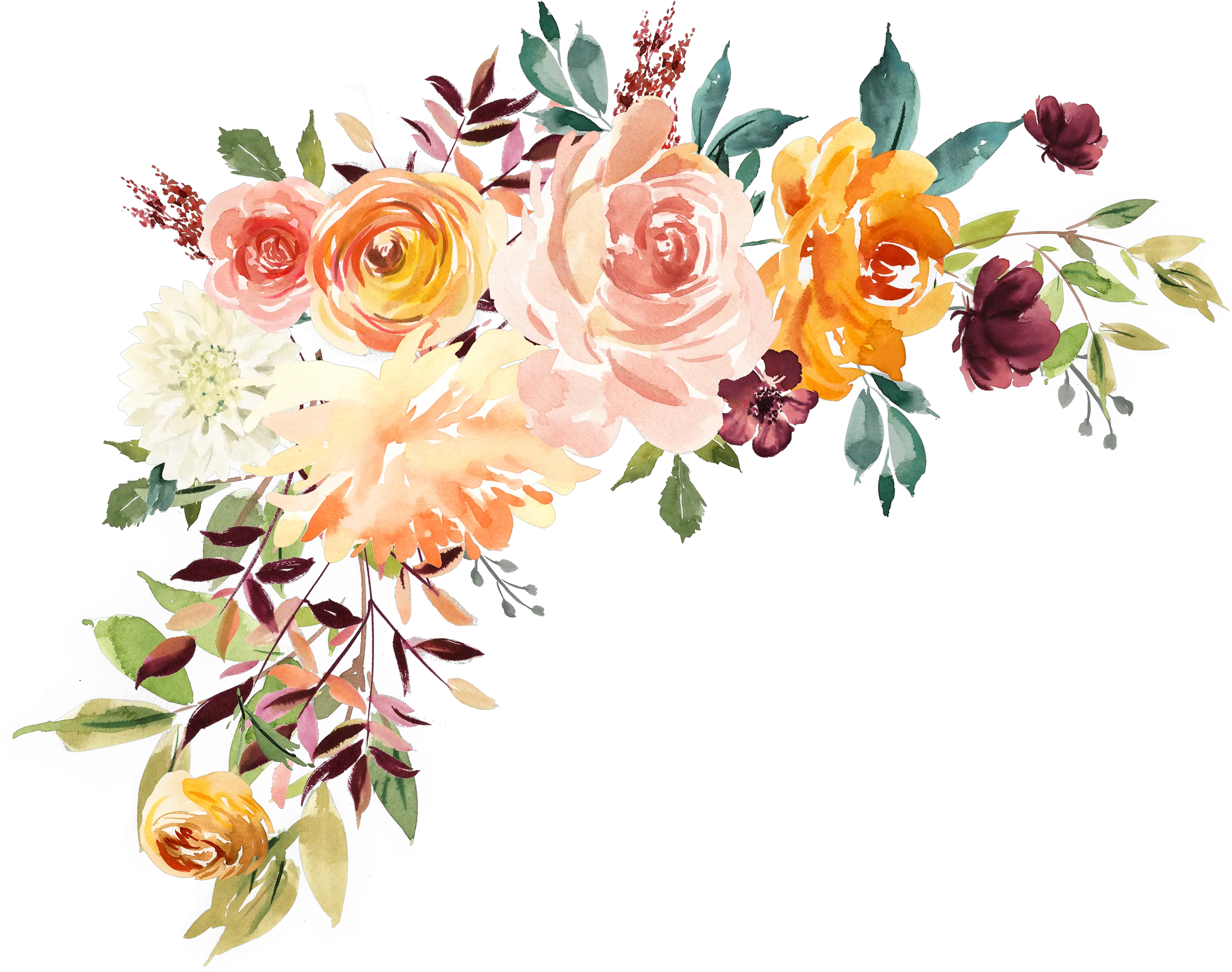 Transparent Background Watercolor Flower Png