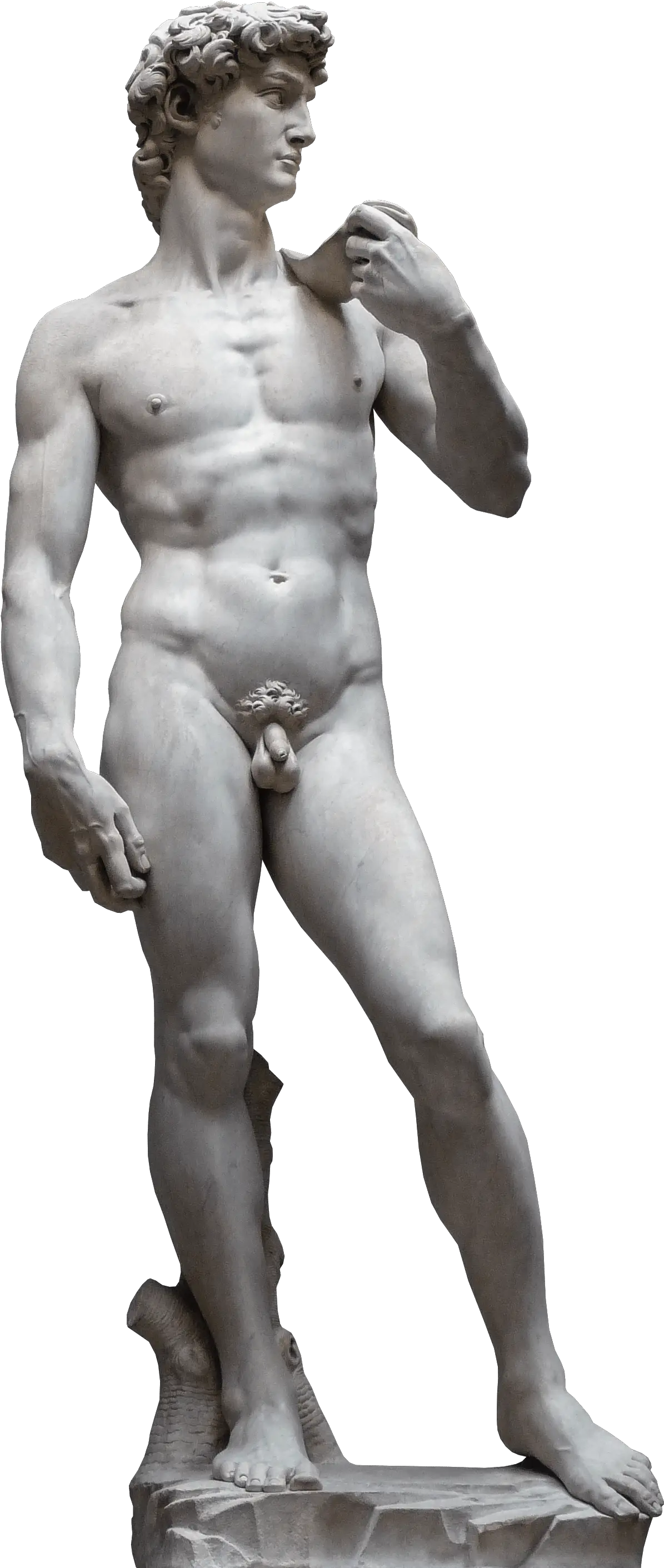 David Statue Png Accademia Di Belle Arti Firenze