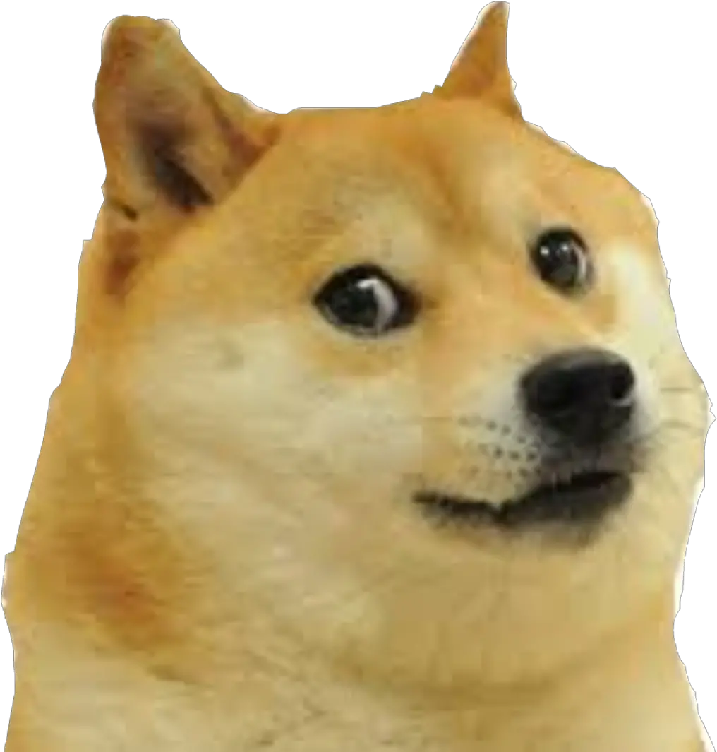 Mlg Doge Png Doge Transparent Background