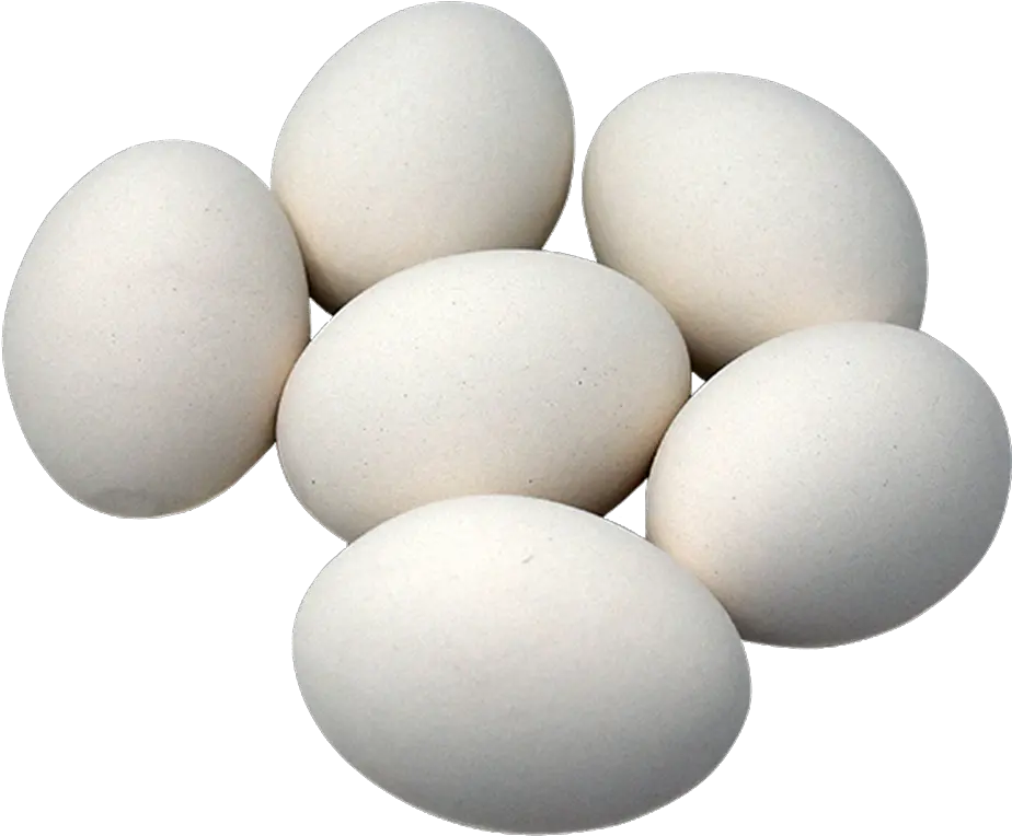 White Eggs Pic Png