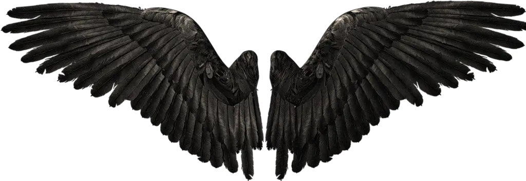 Realistic Demon Wings Png