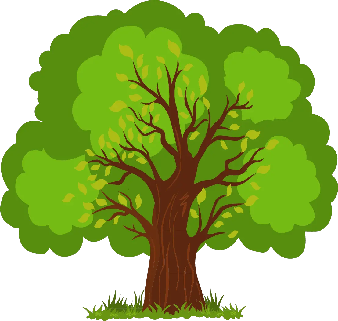 Euclidean Vector Tree Vector Tree Png Clipart