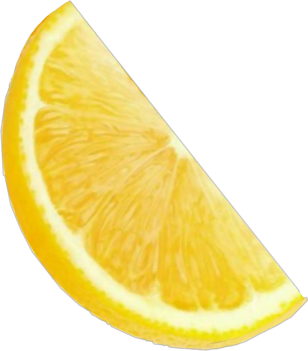 Lemon Lemonade Orange Slice Yellow Friut Yummy Bright Orange