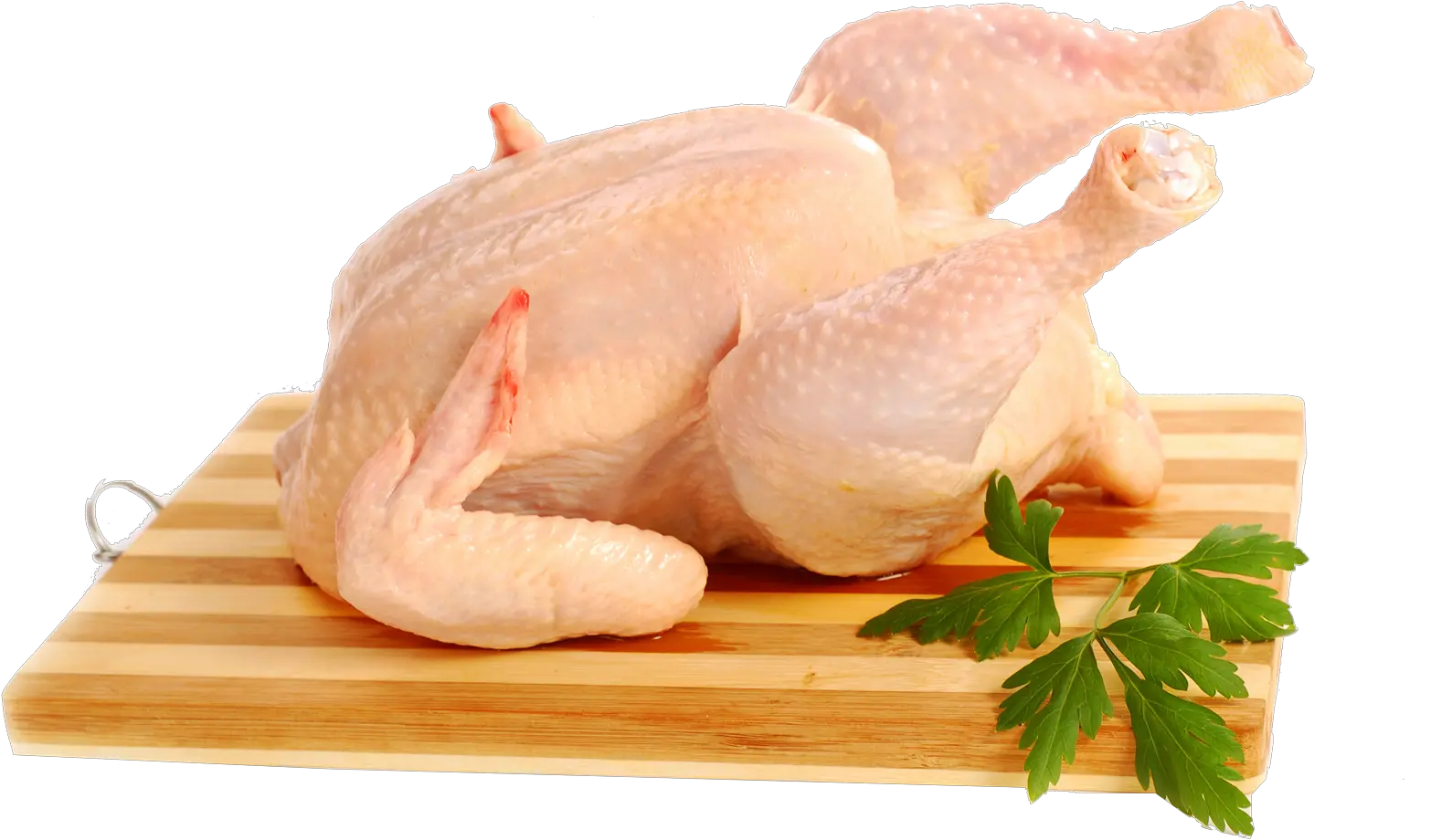 Full Chicken Png Free Background Daging Ayam Segar