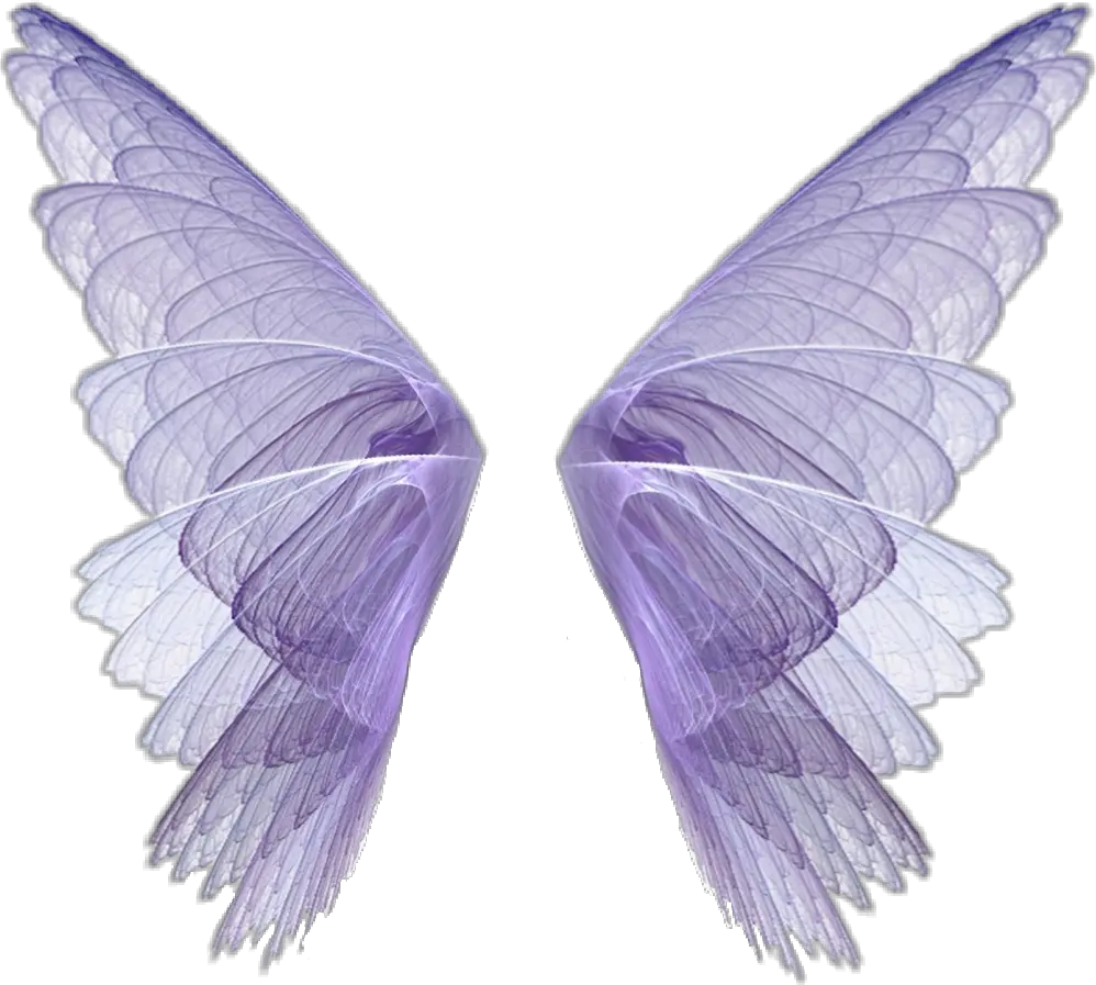 wingsart wings scwings fairytale fantasy fairy Fairy Wings Png Transparent