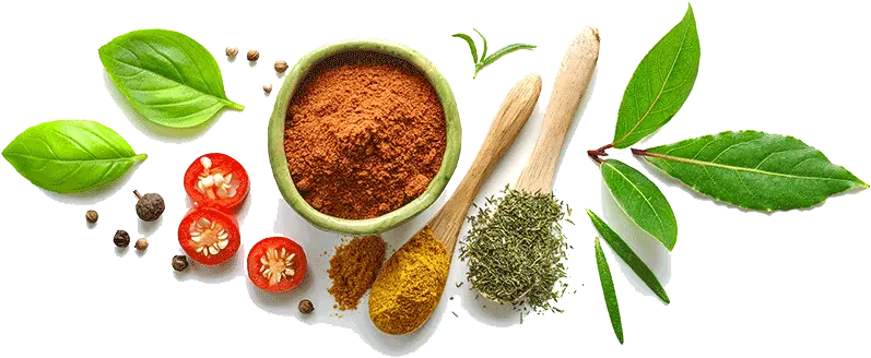 Herbs And Spices White Background