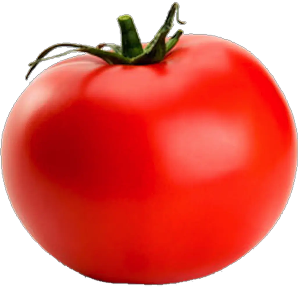 Tomato Png Transparent Tomato