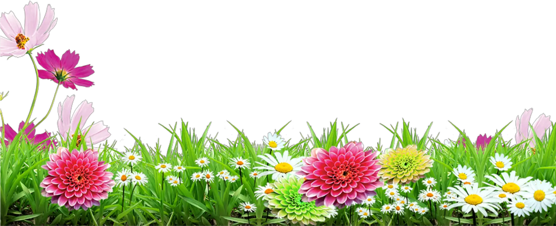 mq grass flowers garden landscape Background Flower Images Png