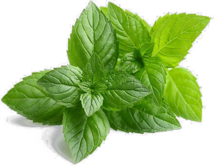 Mint Png Images Hd Mint Png