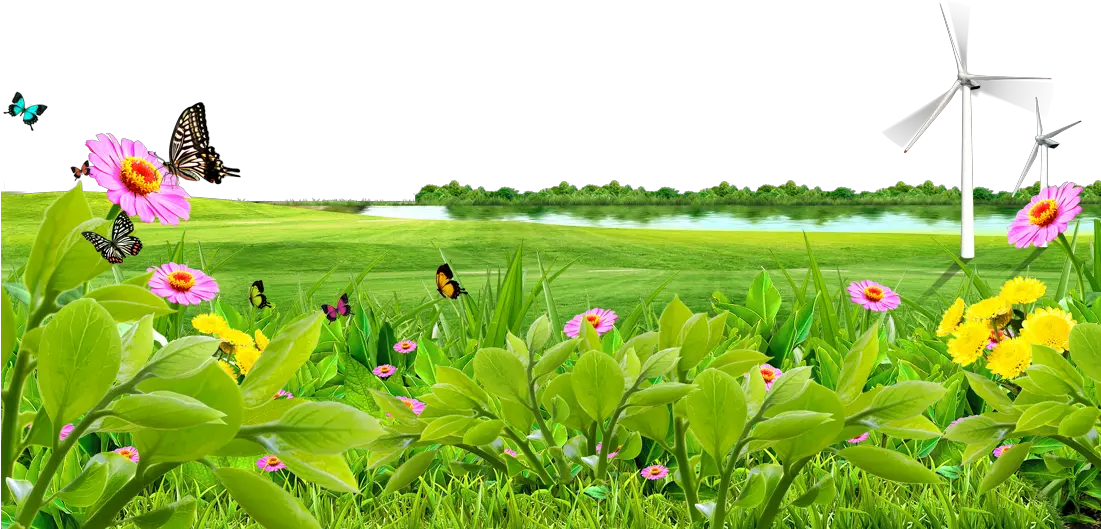 Meadow Lawn Wallpaper Lake Nature Background Png Hd