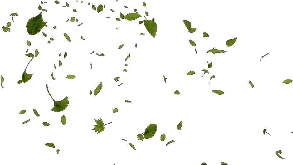 leaves leaf wind windy blow blew float drift Green Leaves Blowing In The Wind Png