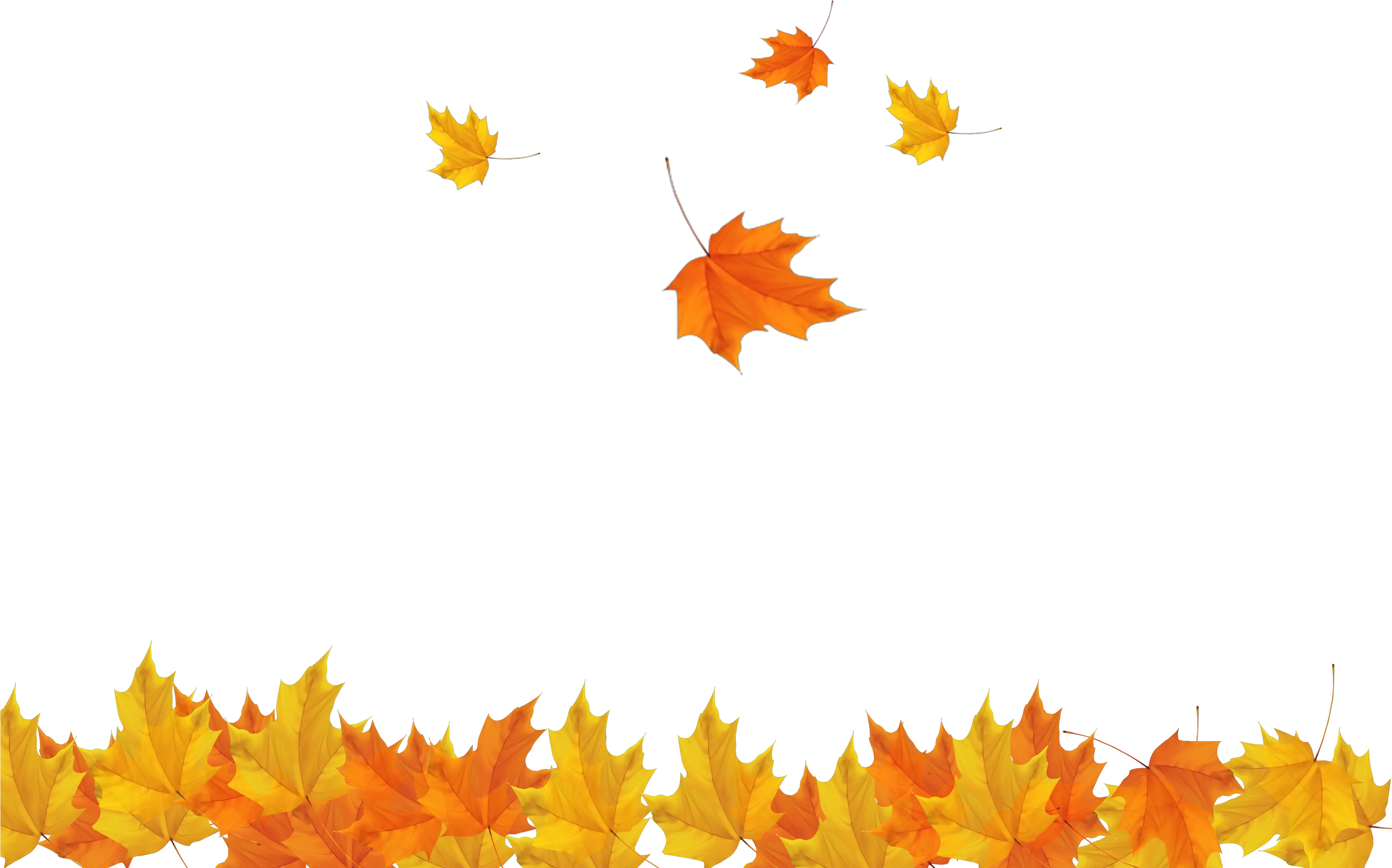 Freeuse Download Autumn Leaves Background Clipart Transparent Background Fall Leaves Png