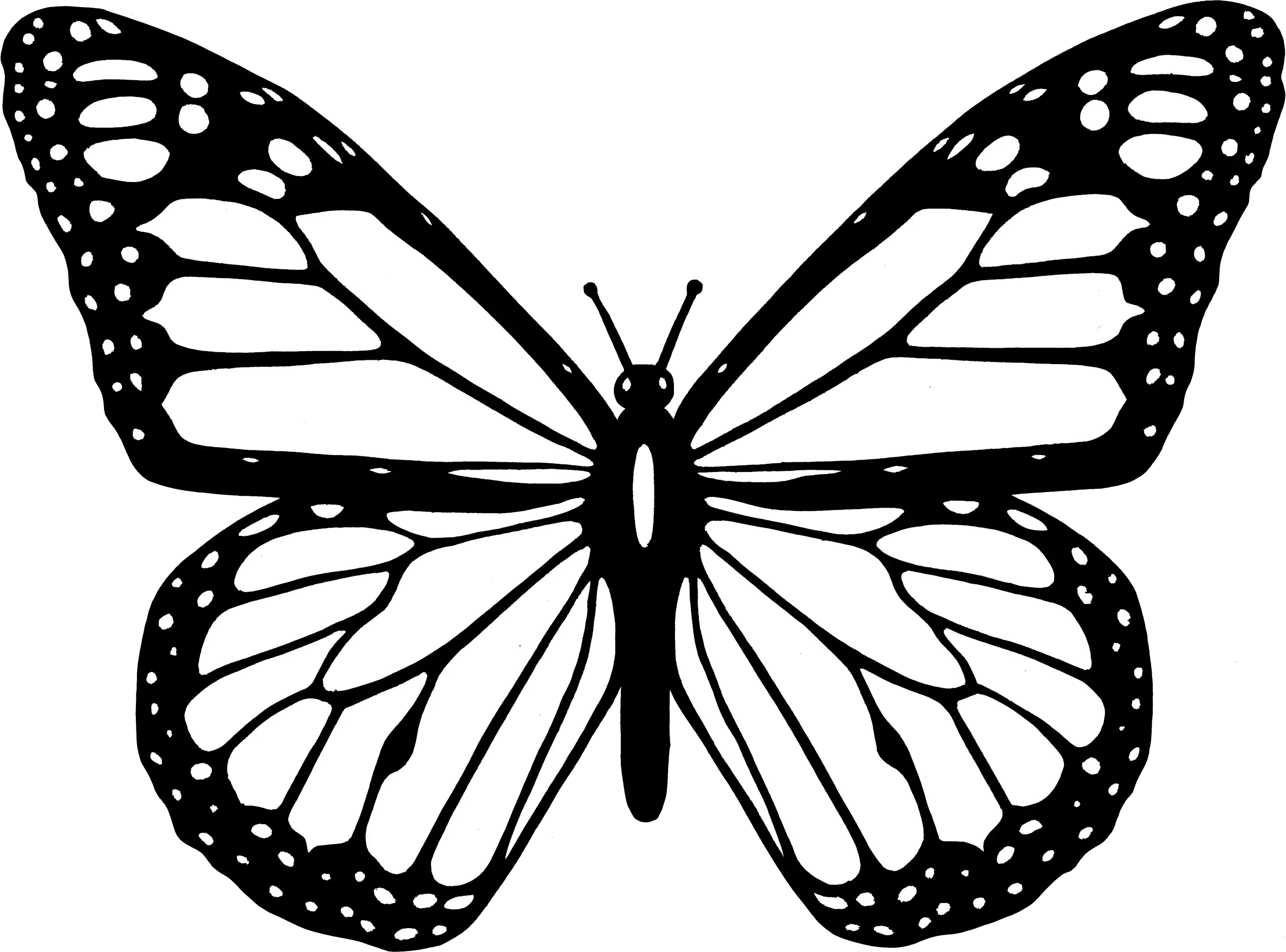 Butterfly Black And White Clipart Butterfly Png Monarch Butterfly Coloring Pages