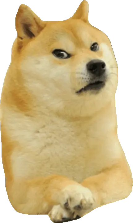 Doge Smirk