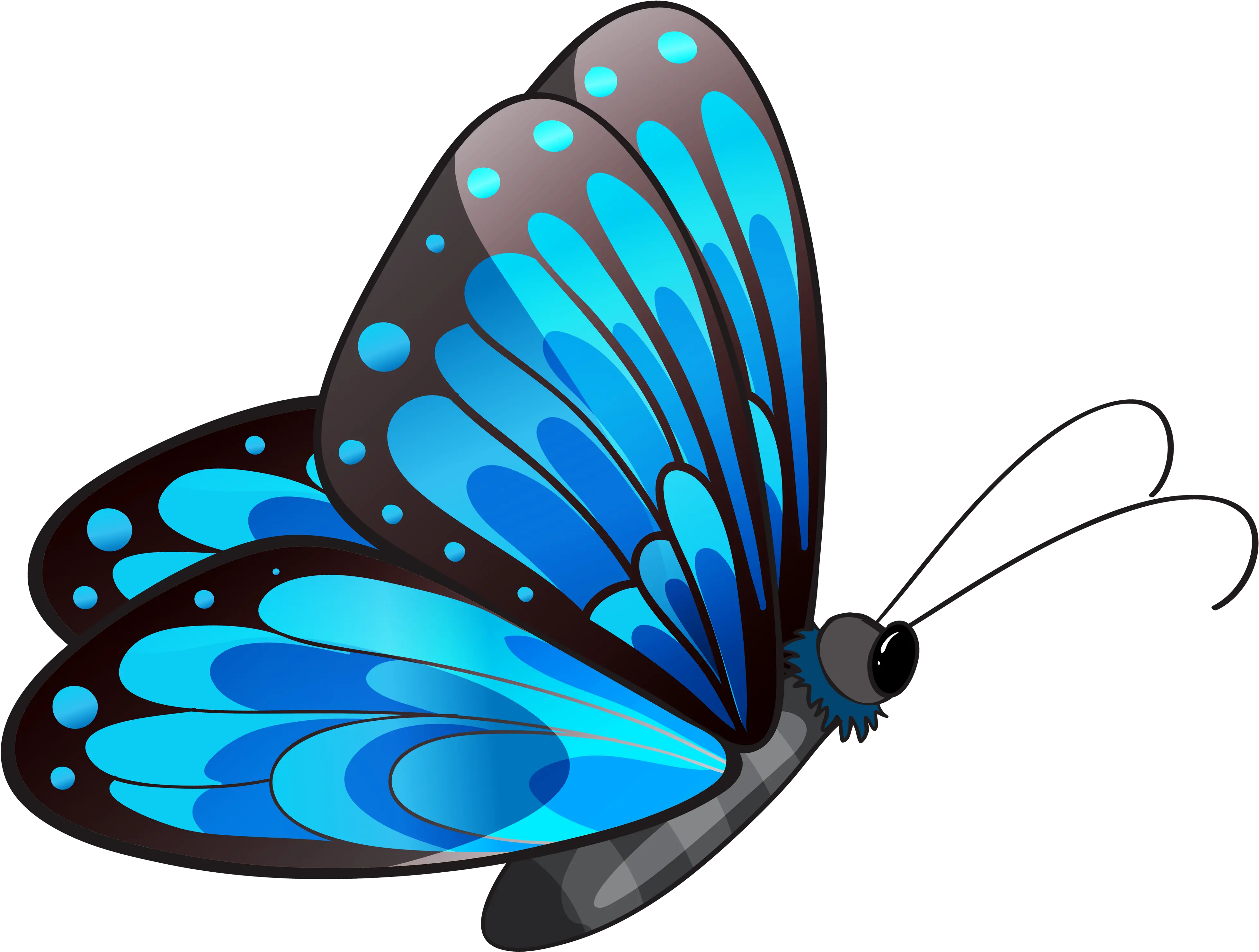 Butterfly Clip Art Flying Butterfly Clip Art