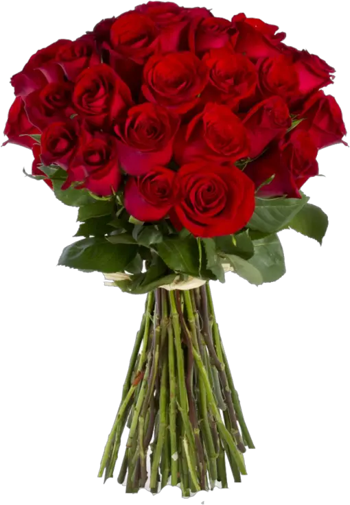 Red Rose Bouquet Png