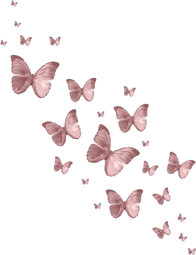 butterfly butterflys pink vintage aesthetic edit Lycaena