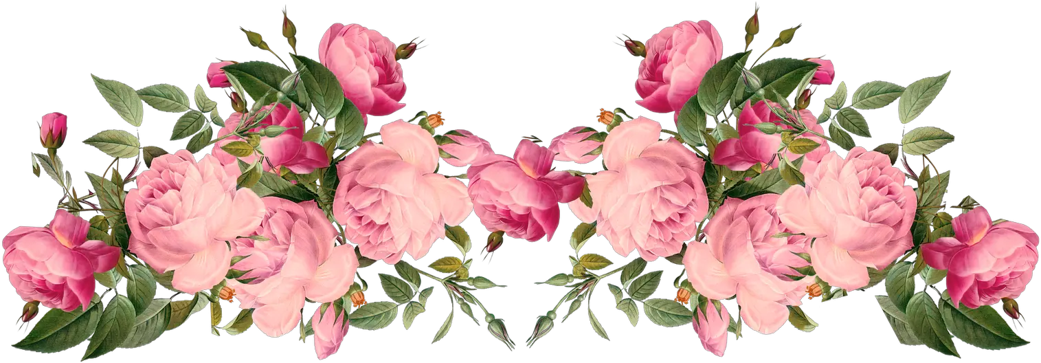 Image Vintage Flower Border Png