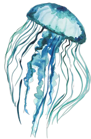 Jelly Tentacles Png Transparent Background Jellyfish Png