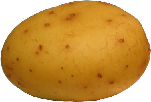 Potato Png