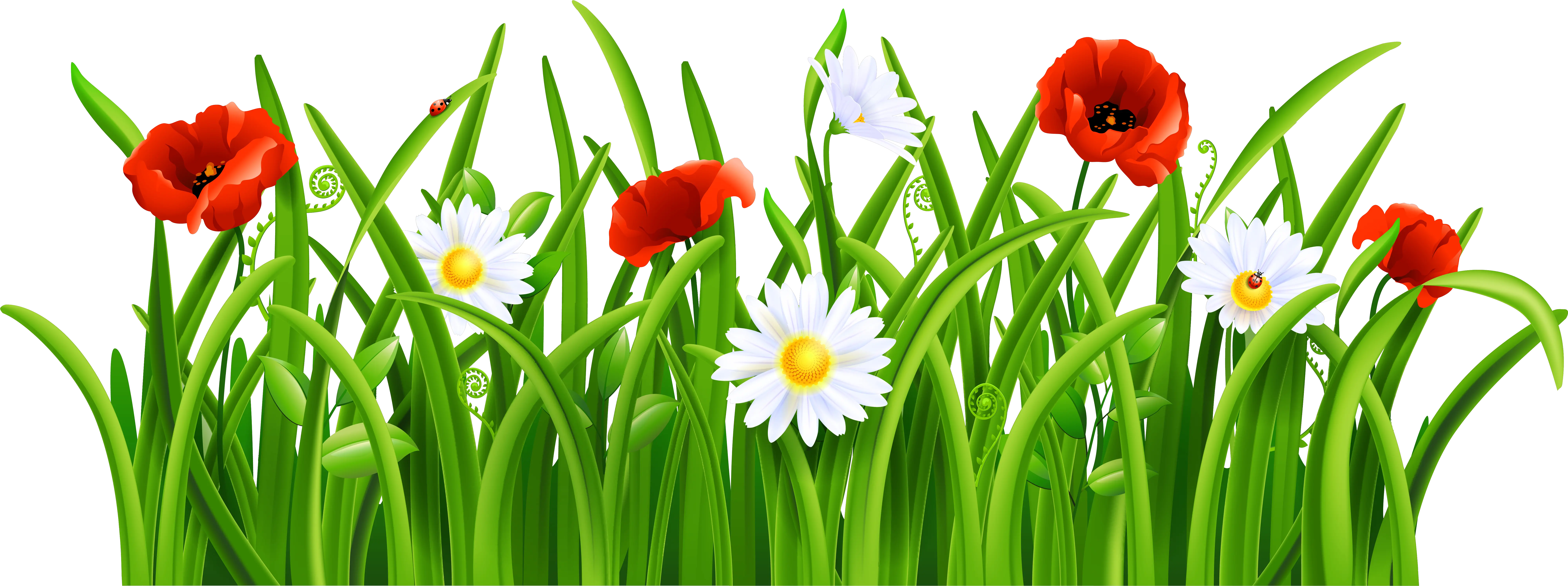 Grass With Flower Clipart Png Flowers And Grass Png