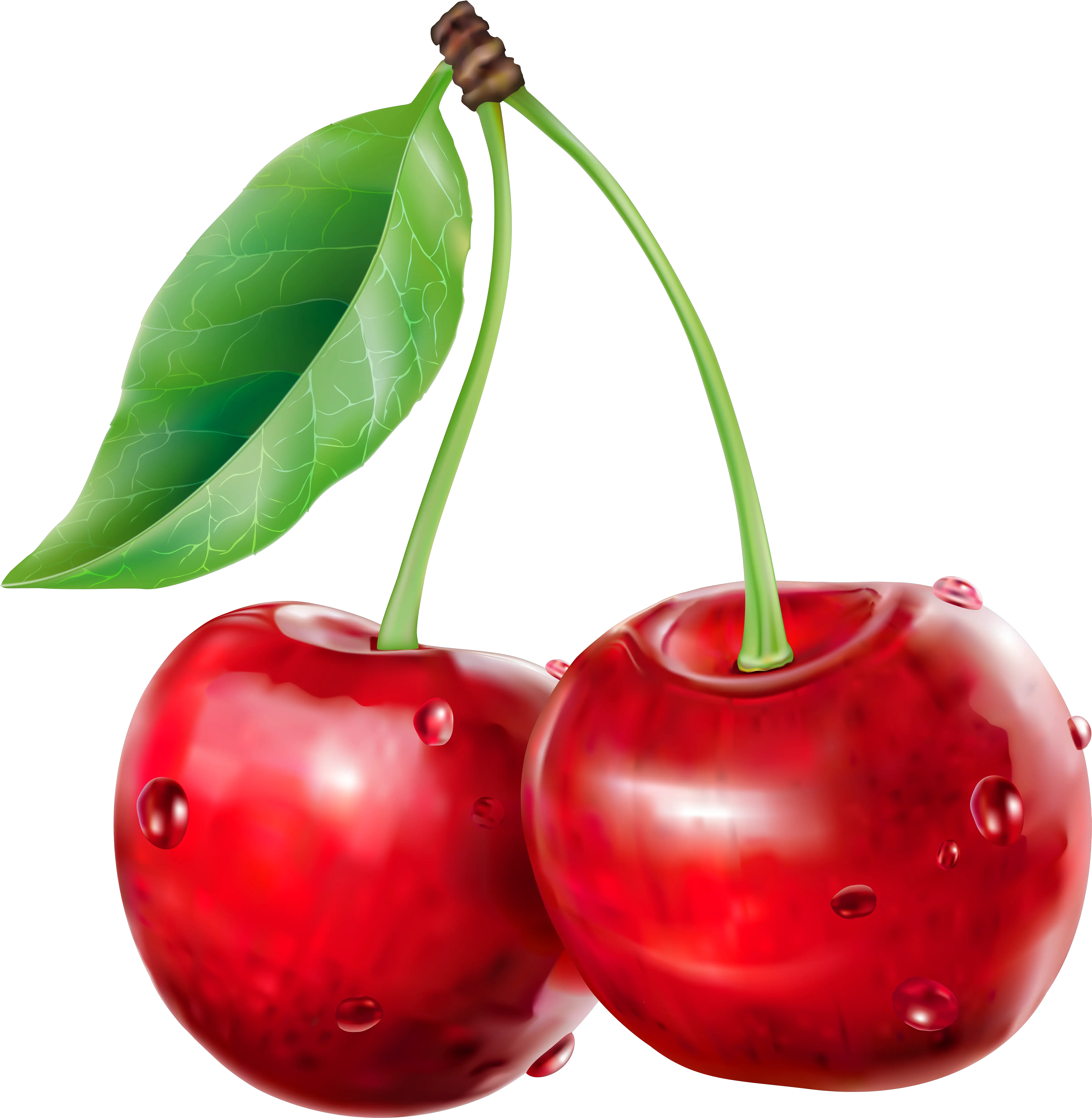 Clip Art Red Cherry Clipart Cherry Png