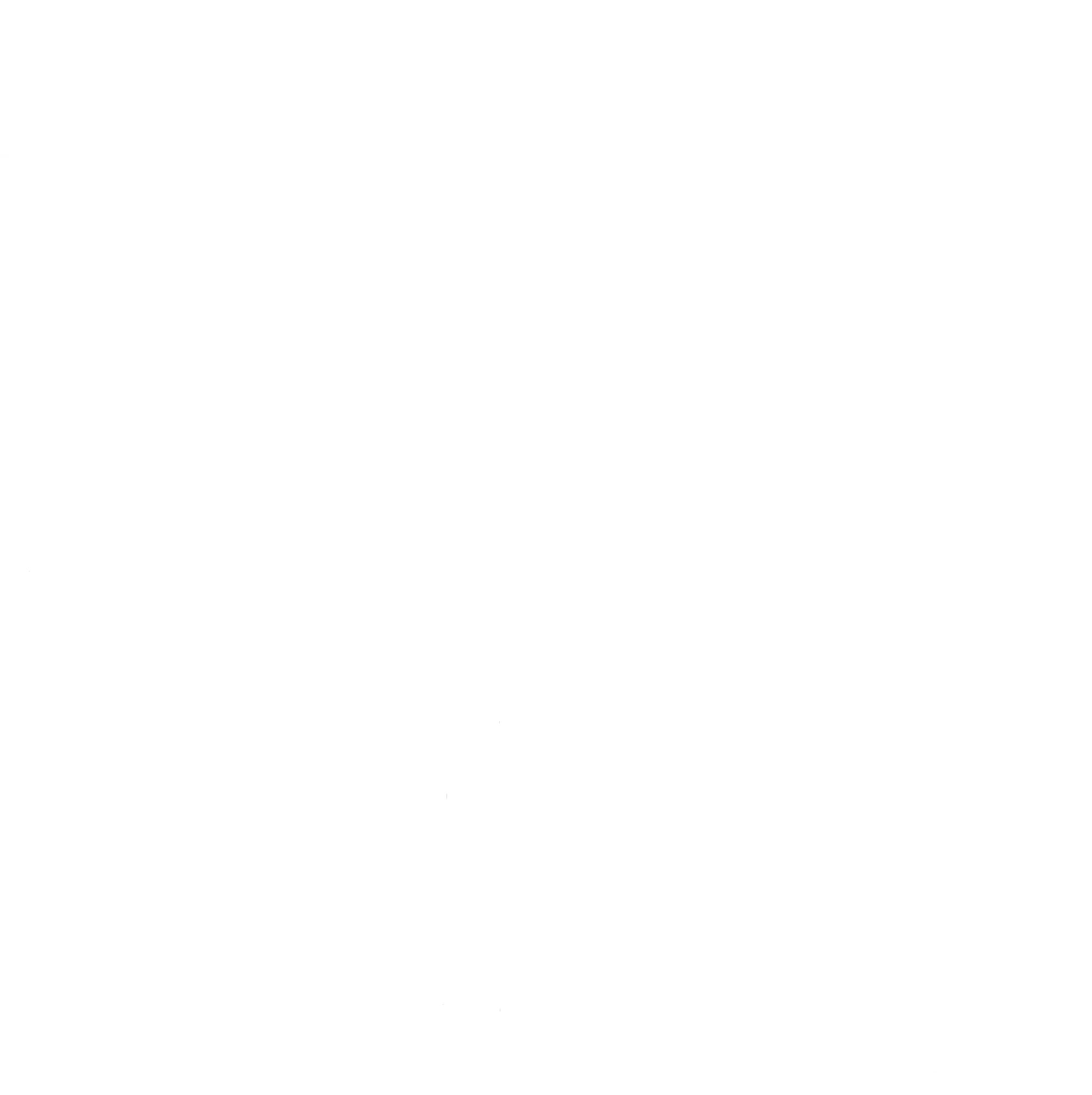 White Transparent Windows Logo