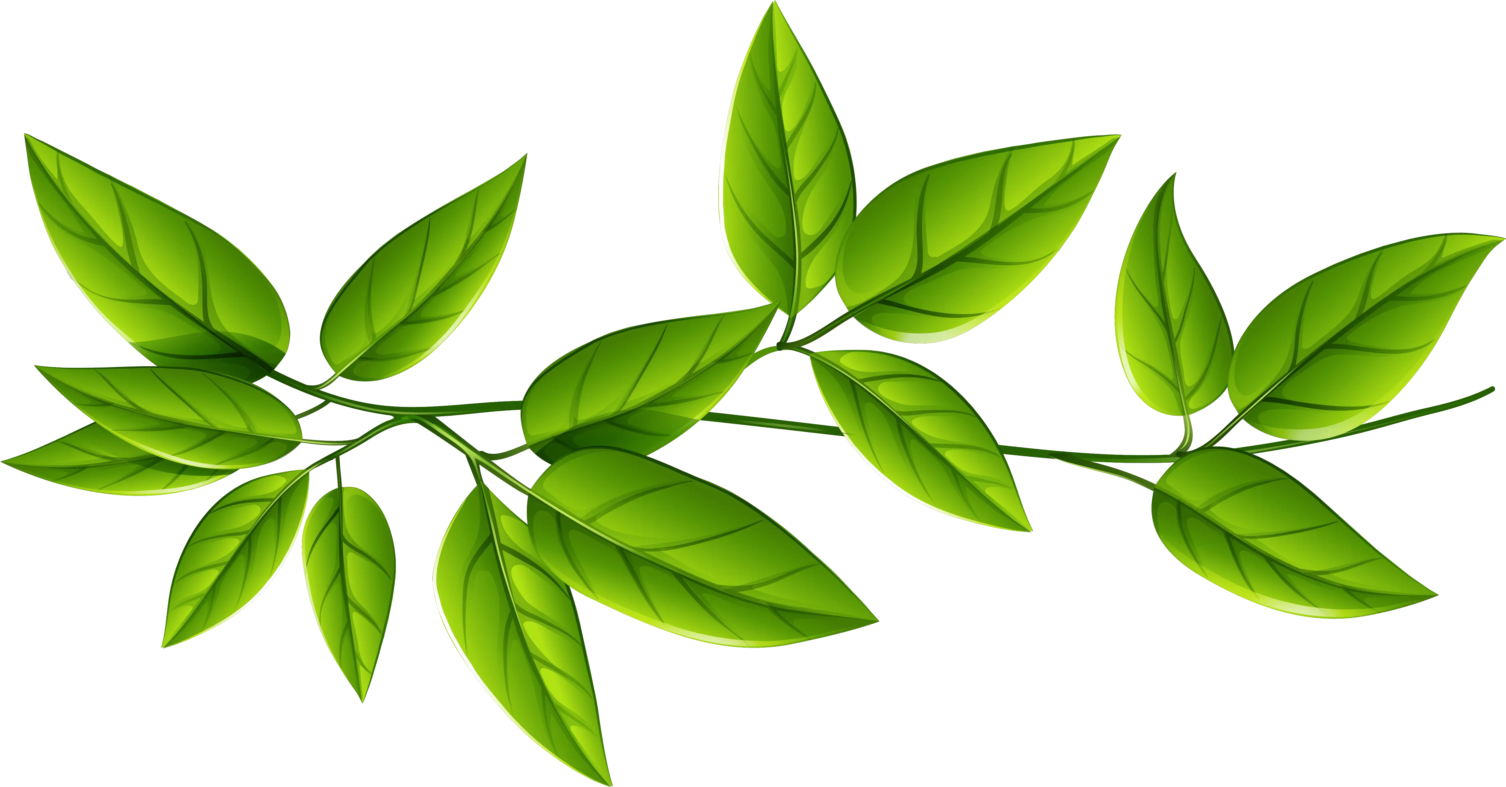 Green Leaves Png Image Transparent Transparent Background Leaves Png