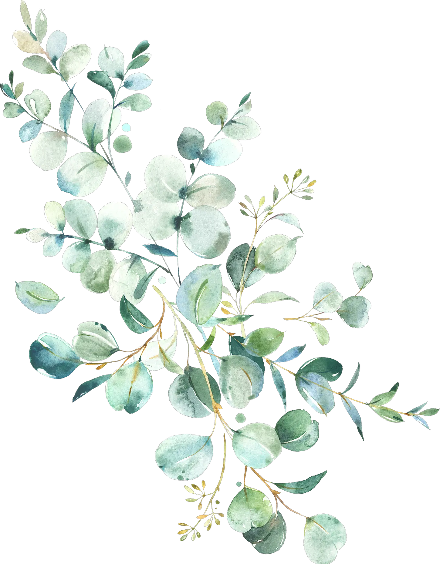 Grey Eucalyptus Leaves Wedding