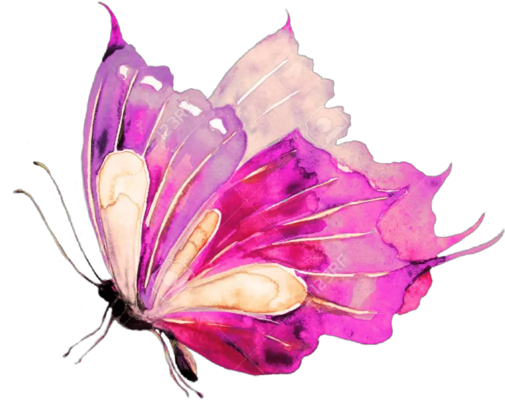 ladymc butterfly watercolors pink Watercolor Blue Butterfly