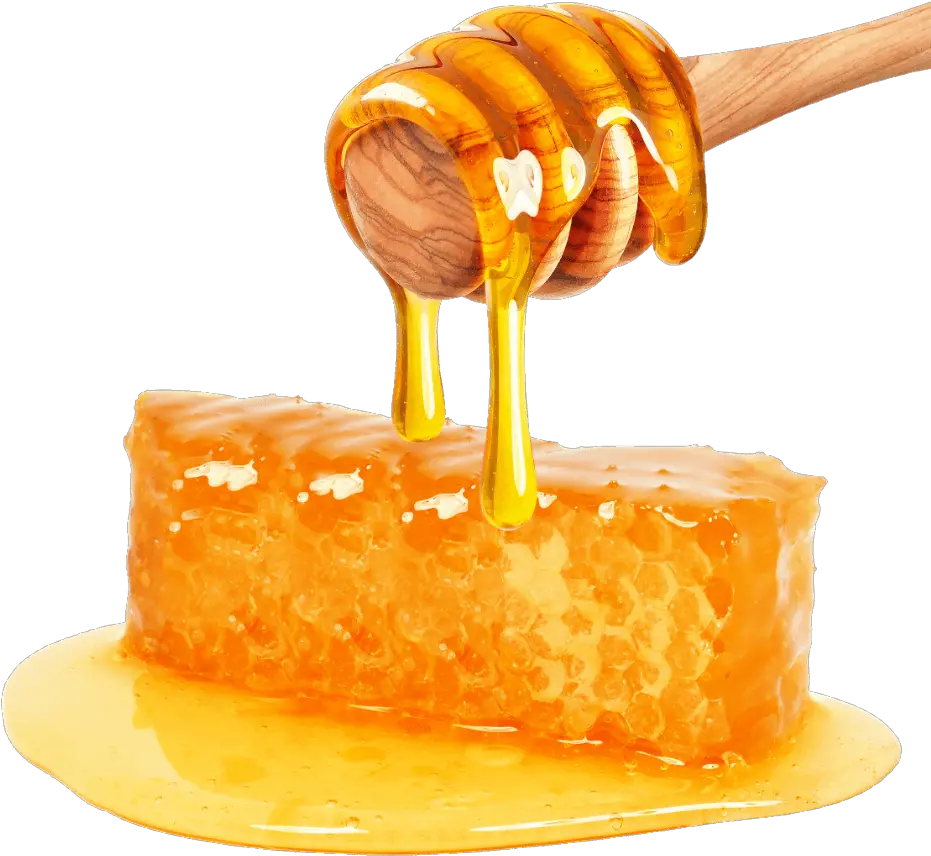 Download Honey Png File Honey Png