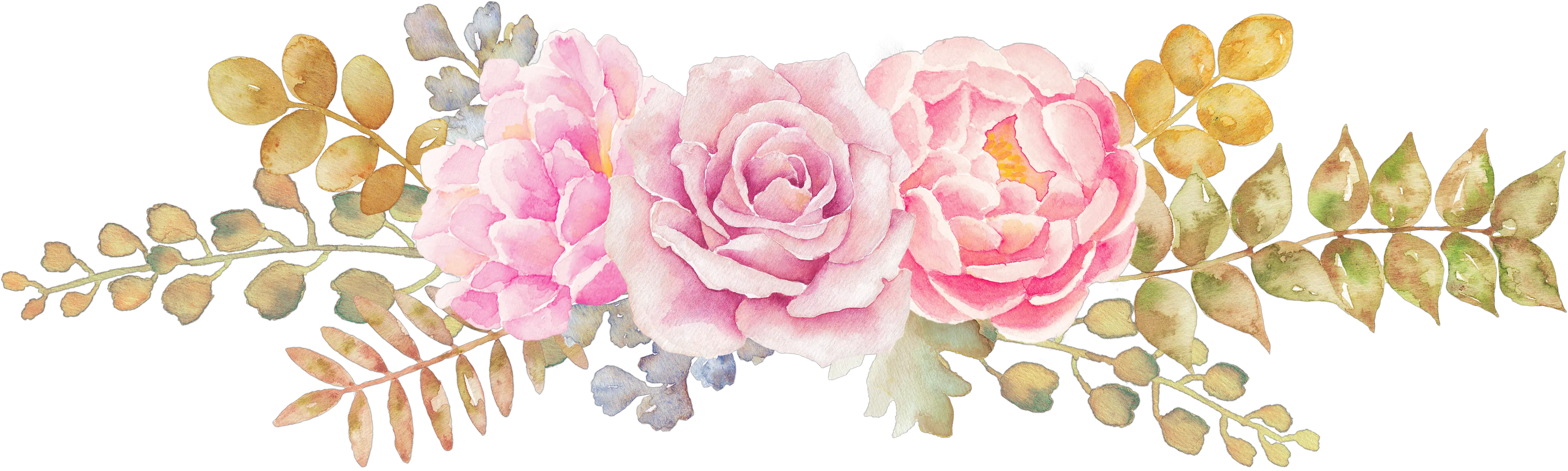 Transparent Flower Header Clipart