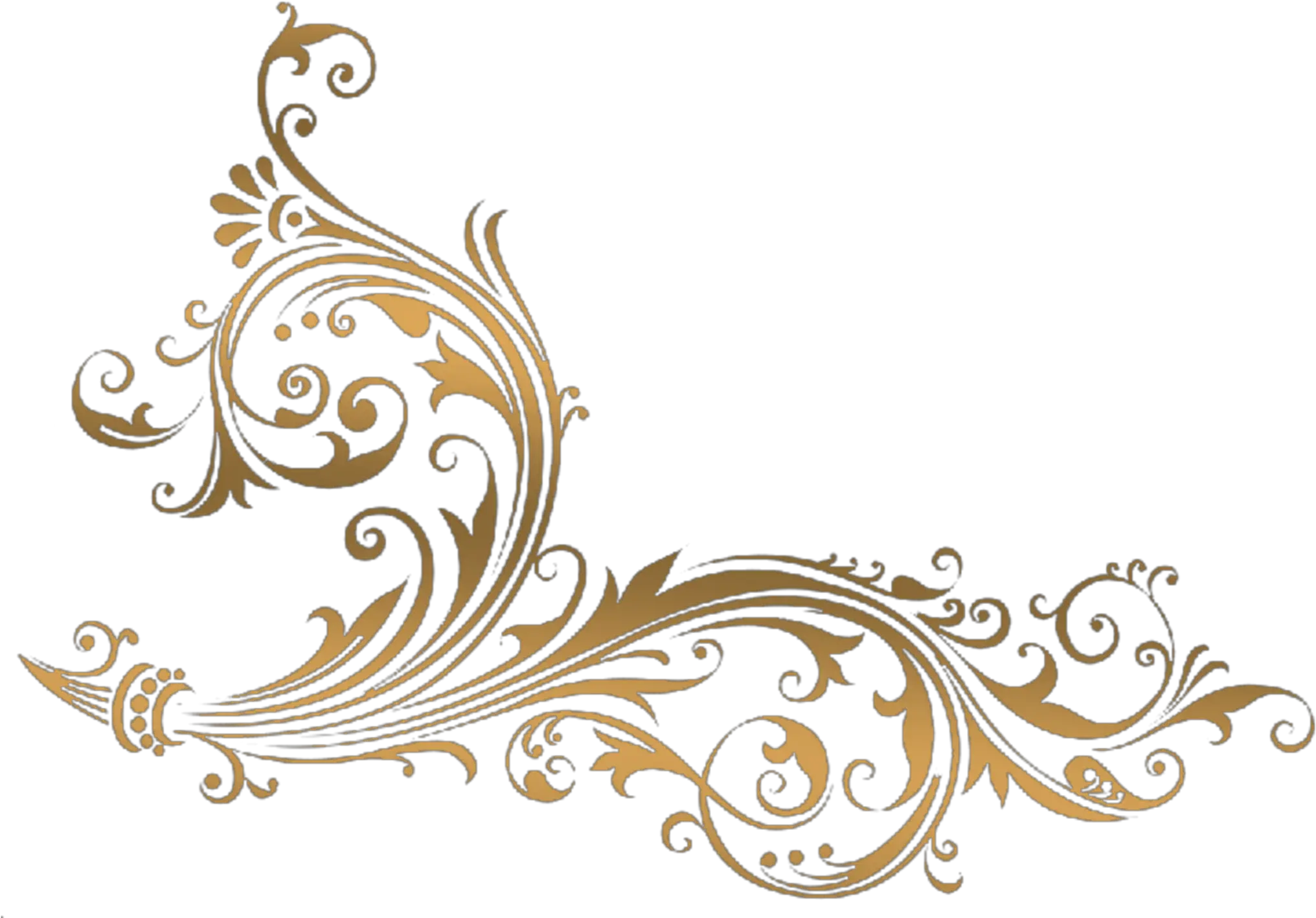 filagree gold swirl floral elegant wedding Lineas Decorativas Oro Png