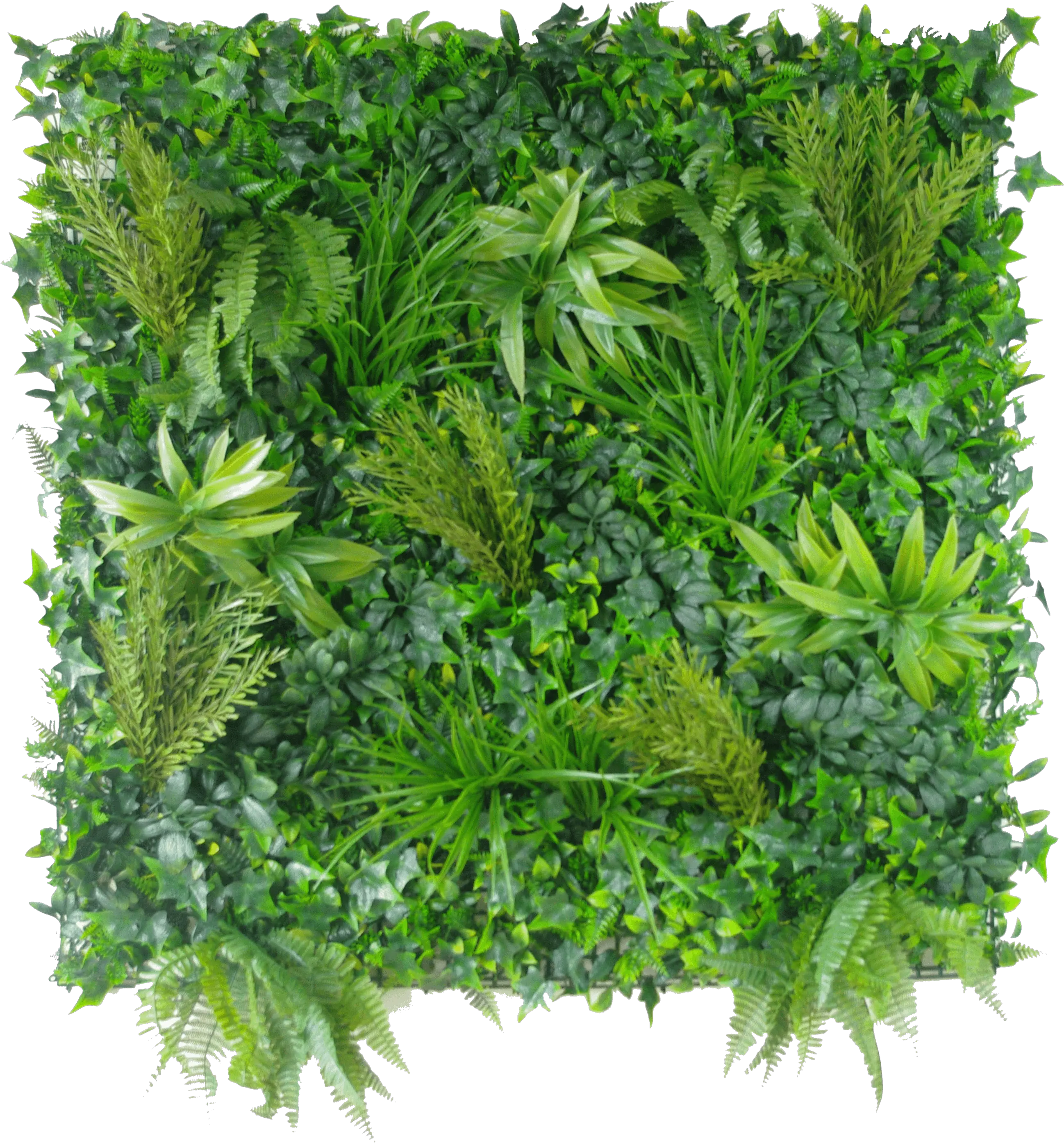 Vertical Garden Wall Png