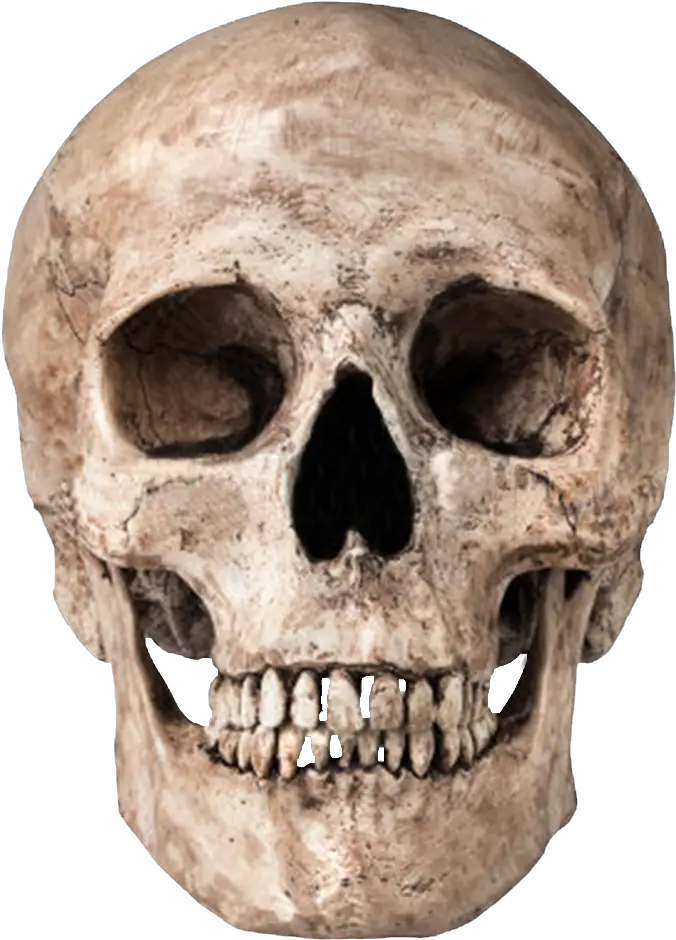 Skull Png Transparent