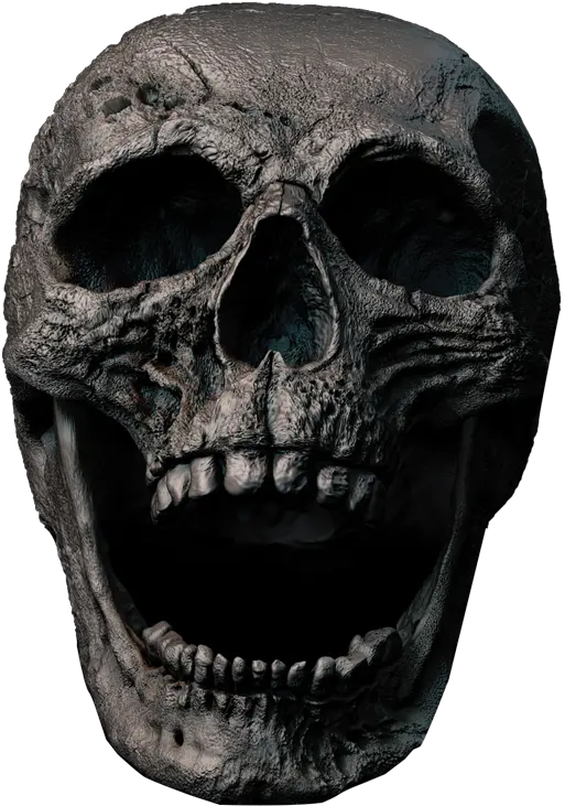 Hd Skull Transparent Png Image Download Transparent Scary Skeleton Png