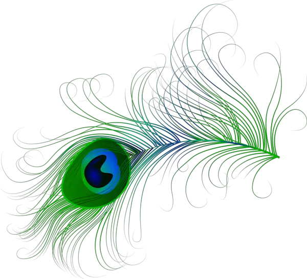 Feathers Clipart Png Transparent Peacock Feather Png