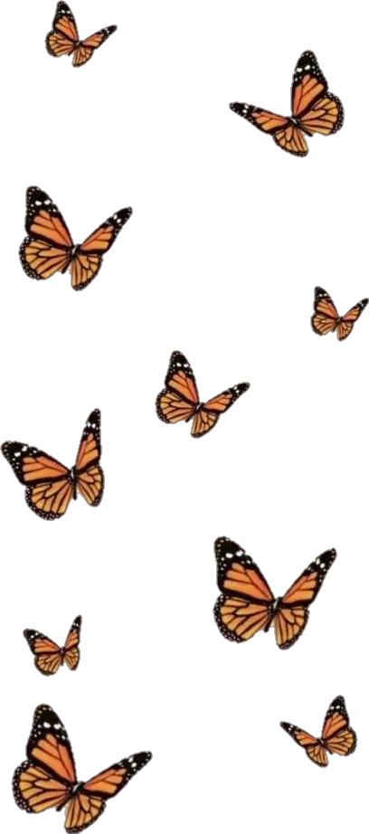 Butterfly Wallpaper Aesthetic